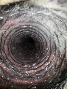 The Interplay of Your HVAC System’s Airflow and Dryer Vent Efficiency for Energy Savings in Cherry Hill, NJ